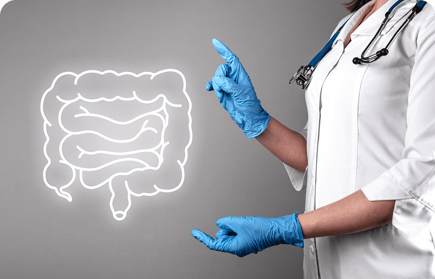 Medical professional explaining digestive system