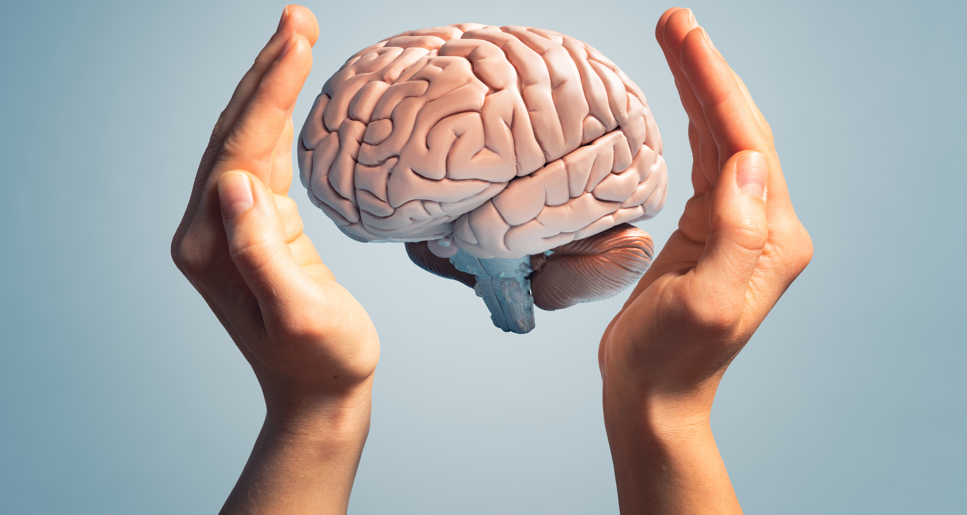Protecting the brain with hands