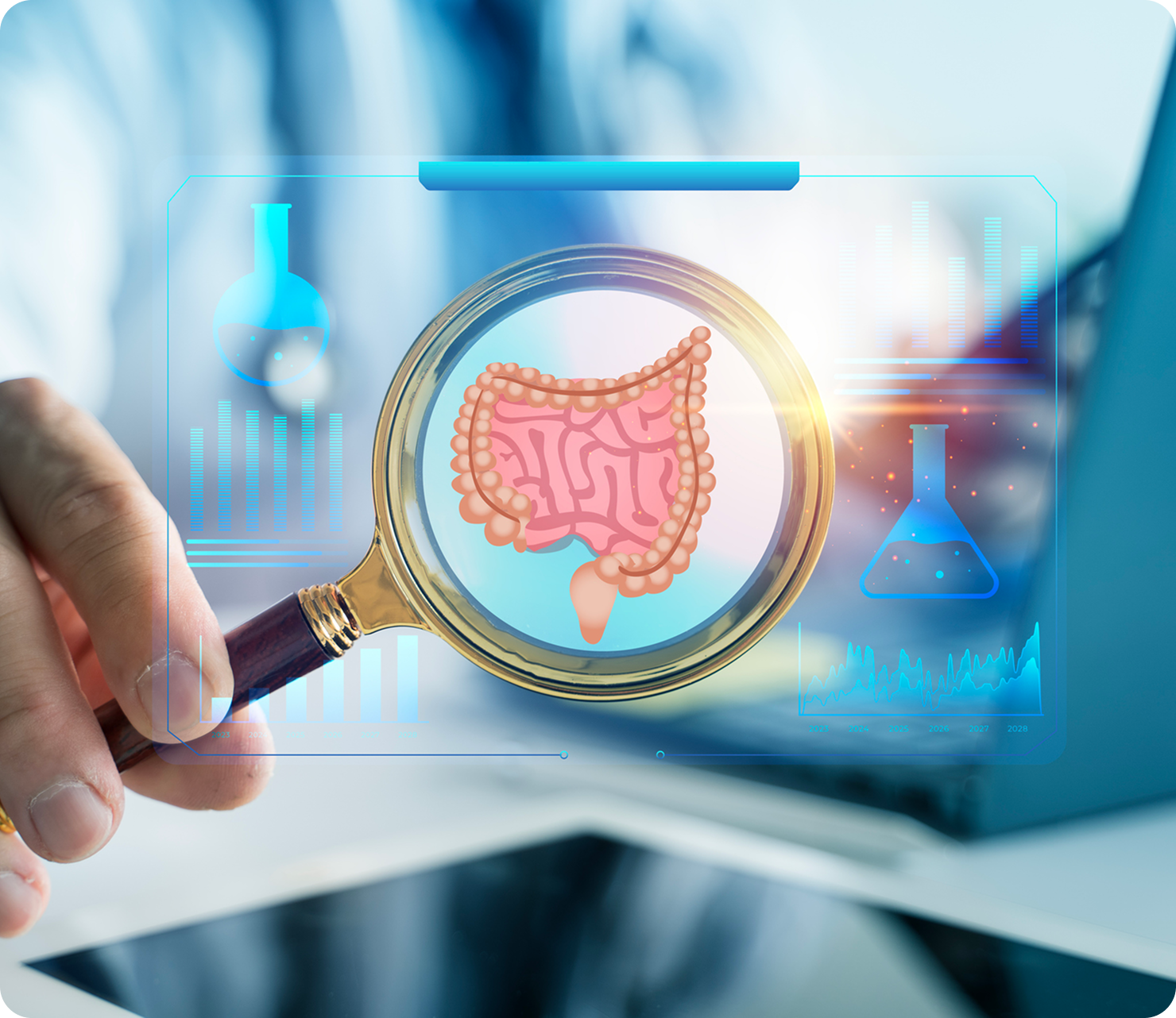 Virtual intestines analysis through magnifying glass